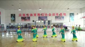 广场舞-月光下的凤尾竹-尚义风茂艺术团
