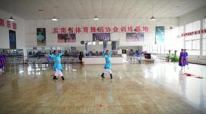 广场舞-草原情-红声艺术团